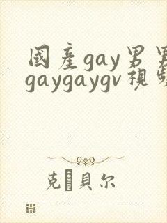 国产gay男男gaygaygv视频