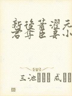 新后萧濯元朝露君夺臣妻小说笔趣阁封面