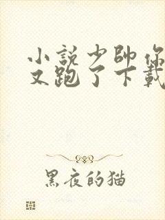 小说少帅你老婆又跑了下载