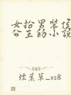 女扮男装侯爷娶公主的小说gl