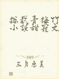 总裁青梅竹马的小说甜宠文