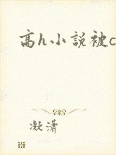 高h小说被c