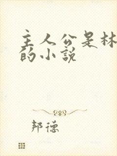 主人公是林小雅的小说