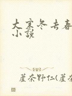 大寒冬去春可期小说