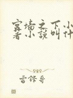 宫墙之下小说原著小说叫什么名字封面