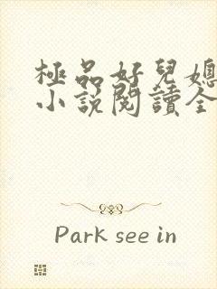 极品好儿媳苏媚小说阅读全文最新章