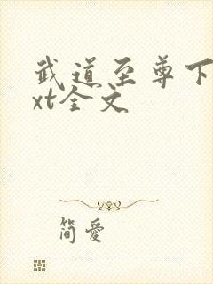 武道至尊下载txt全文