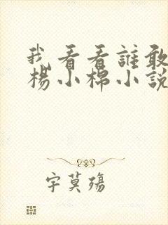 我看看谁敢惹我杨小棉小说