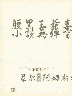 腹黑王爷喜当爹小说无弹窗