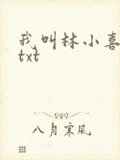 我叫林小喜小说txt
