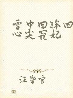 雪中回眸四爷的心尖宠妃