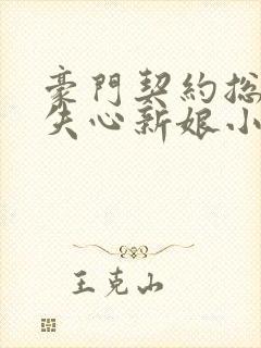 豪门契约总裁的失心新娘小说