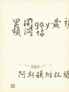 男同gay黄视频网站封面