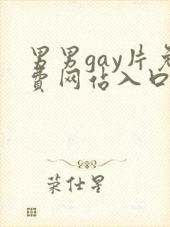 男男gay片免费网站入口