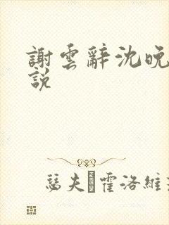 谢云辞沈晚梨小说