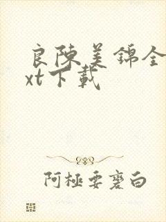 良陈美锦全文txt下载