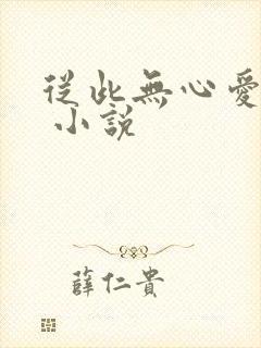 从此无心爱凉夜 小说