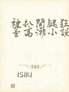 被扒开腿狂揉花蒂高潮小说封面