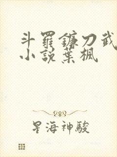 斗罗镰刀武魂的小说叶枫
