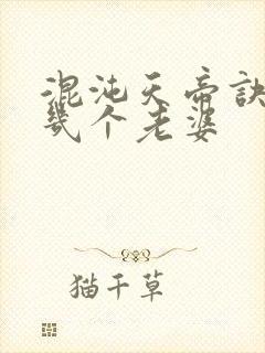 混沌天帝诀凌峰几个老婆