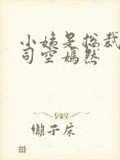 小姨是总裁叶凡司空嫣然封面