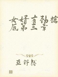 女婿有劲枪枪到底第三章