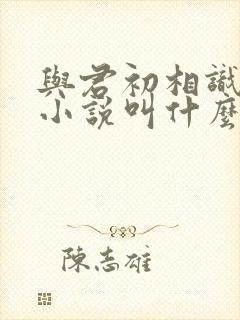 与君初相识原著小说叫什么封面