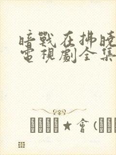 暗战在拂晓之前电视剧全集剧情介绍