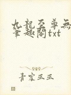 九龙至尊无删节笔趣阁txt