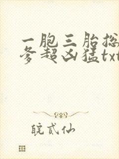 一胞三胎总裁爹爹超凶猛txt下载全本