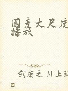 国产大尺度在线播放