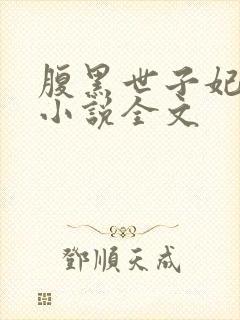 腹黑世子妃日常小说全文