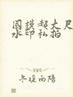 国模超大尺度无水印私拍