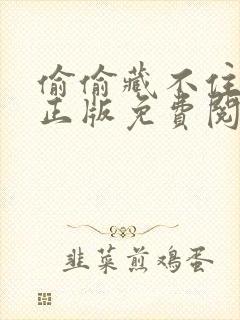 偷偷藏不住小说正版免费阅读全文无弹窗