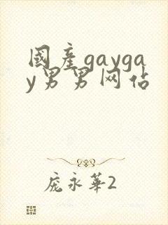 国产gaygay男男网站封面