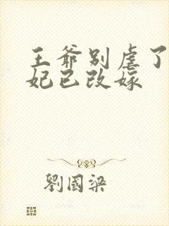 王爷别虐了,王妃已改嫁封面