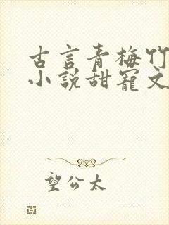 古言青梅竹马的小说甜宠文
