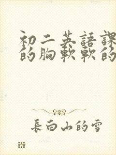 初二英语课代表的胸软软的