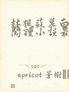 林枫苏慕白免费阅读小说最新章节