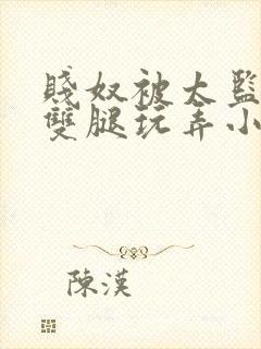 贱奴被太监扒开双腿玩弄小说