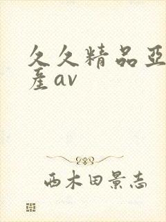 久久精品亚洲国产av