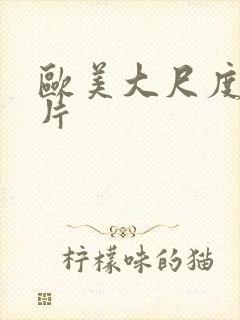 欧美大尺度a级片