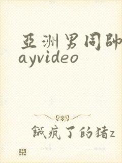 亚洲男同帅哥gayvideo