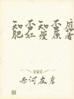 知否知否应是绿肥红瘦原著小说叫什么名字封面