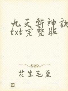 九天斩神诀下载txt完整版