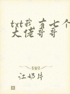 txt我有七个大佬哥哥封面