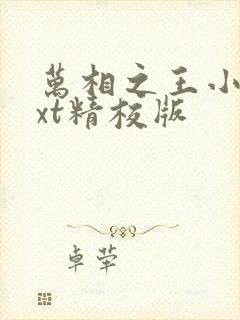 万相之王小说txt精校版