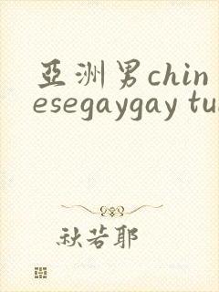 亚洲男chinesegaygay tube