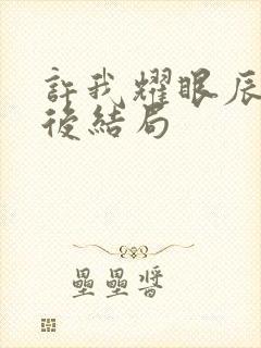 许我耀眼辰辰最后结局