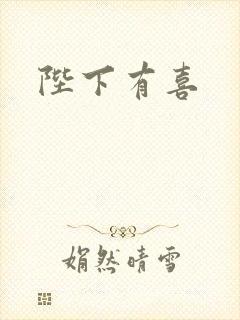 陛下有喜封面